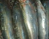 Une image de l'étape 2 de Filets de sardines farcies ail / oignon et céleri.