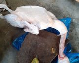 Foto langkah ke 1 dari resep Gulai bebek cabe ijo.