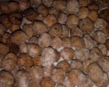 Foto del paso 2 de la receta: Snacks de garbanzos