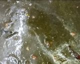 A picture of step 6 of Aloo Fatfata.