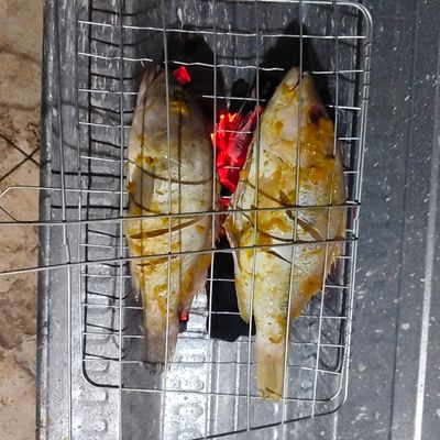 Langkah 5