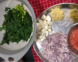 ગાર્લીક પાલક પનીર (Garlic Palak Paneer Recipe In Gujarati) રેસીપી સ્ટેપ1ફોટો