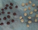 A picture of step 5 of Two tone cookies with chocolate filled inside.