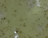 Foto del paso 1 de la receta: Bagre una receta comodín