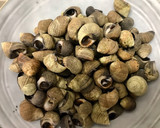 Foto del paso 2 de la receta: Percebes y bígaros cocidos