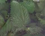 Nettle and mint pesto recipe step 3 photo