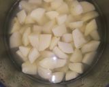 A picture of step 1 of Potato 65.