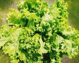 Hình bước làm 1 của món Cải Kale Xào Tỏi