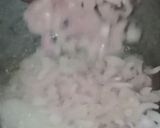 A picture of step 2 of Onion Tomato Macaroni 📌.