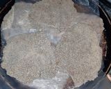Foto del paso 7 de la receta: Milanesas de lentejas