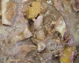A picture of step 3 of Namkeen Gosht.