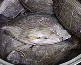 Foto langkah ke 2 dari resep Tim Ikan Ala Thailand.