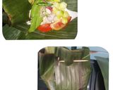 Foto langkah ke 3 dari resep Garang Asem Kudus.