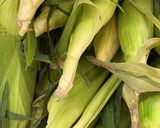 Foto del paso 1 de la receta: Tamales Cubanos 🫔