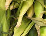 Foto del paso 1 de la receta: Tamales Cubanos 🫔
