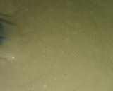 Foto del paso 5 de la receta: Magdalenas de Yerba Mate