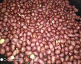 পিনাট বাটার (peanut butter recipe in Bengali) রেসিপি ধাপ - 1 ছবি