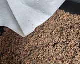 A picture of step 1 of Cottage Pie.