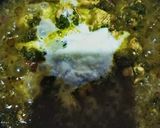 A picture of step 9 of Tawa chicken Hara Masala.