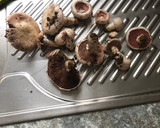 Foto del paso 1 de la receta: Hongos al ajillo