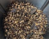 Foto del paso 4 de la receta: Pasta de lentejas de campo
