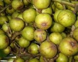 Hình bước làm 1 của món Sườn Hầm Quả Sung