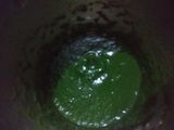 Spinach gravy