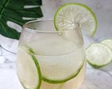 Foto langkah ke 3 dari resep Limeade.