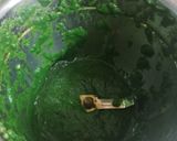 A picture of step 4 of Palak Puri.