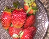 A picture of step 1 of Homemade yoghurt.
