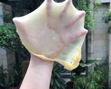 Foto langkah ke 6 dari resep Roti Baso Sapi ala Henis.
