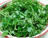 Hình bước làm 1 của món Rau Càng Cua Trộn Cá Hộp