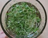 Foto del paso 13 de la receta: Brotes de lino 🌱 Germinación de semillas de lino marrón en germinador de arcilla 🌱