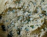मक्का ढोकला (makka dhokla recipe in Hindi) रेसिपी चरण 1 फोटो