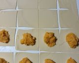 Foto del paso 4 de la receta: Raviolones de zapallo anco y queso