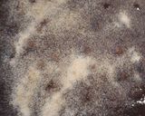 A picture of step 6 of Bean Casserole.