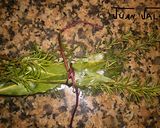 Foto del paso 3 de la receta Jabalí estofado