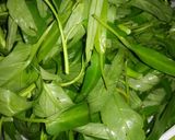 Foto langkah ke 1 dari resep Tumis kangkung sederhana.
