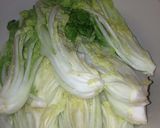 Foto langkah ke 11 dari resep Easy Traditional Kimchi (korean side dish).