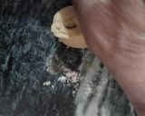 A picture of step 6 of Split Moong Dal Mathri.