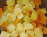 Foto del paso 1 de la receta: Sopa de zapallo cabuttia