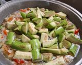 Foto langkah ke 3 dari resep Lodeh simple (terong ijo + tempe).