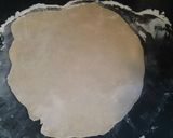 A picture of step 4 of 2 shell flaky pie crust.