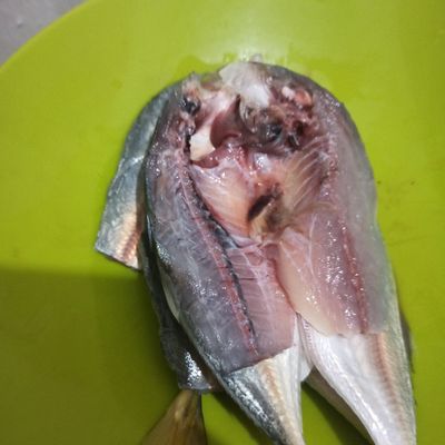 Langkah 1