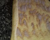 Foto del paso 5 de la receta: Pan de Rollos