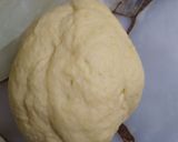 Foto del paso 2 de la receta: Lasagna de jamón/ queso y salsa blanca