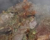Foto del paso 3 de la receta: Guiso de carne, lentejas y arroz