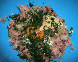 Foto del paso 3 de la receta: Hamburguesas de Atún