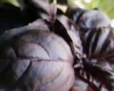 Une image de l'étape 6 de Bouchée de la reine aux legumes basilic pourpre et vert🌶️🌿🌿.