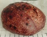 Foto langkah ke 21 dari resep Double Chocolate Sourdough Bread (86%).